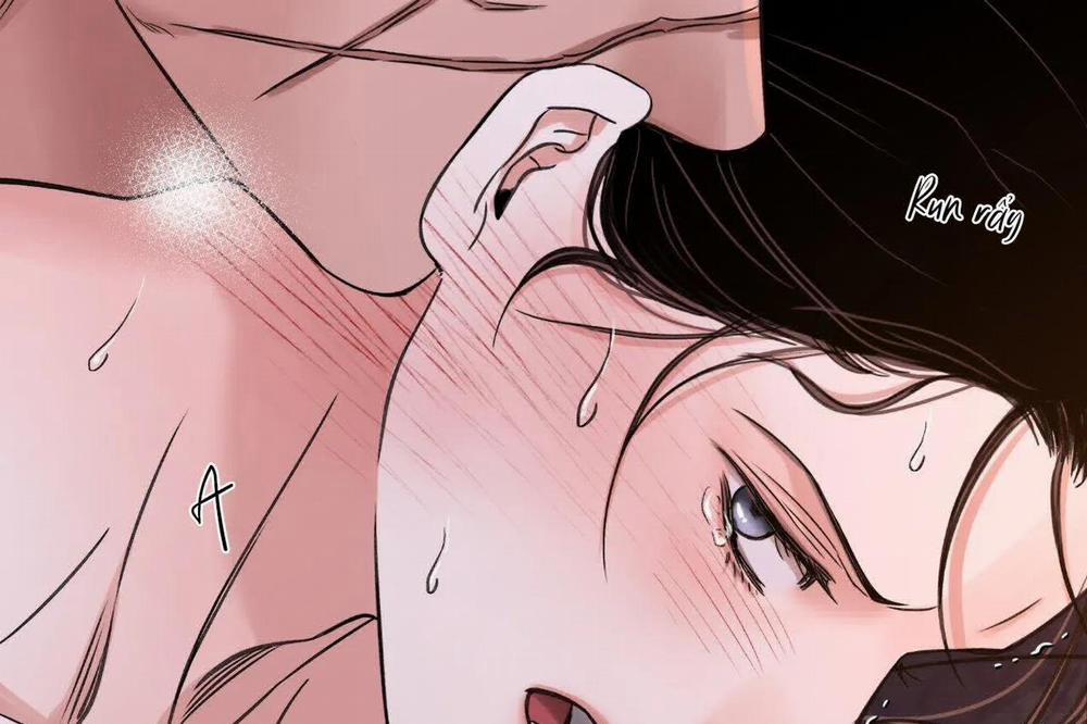 Hoa Và Gươm 36 trang 17