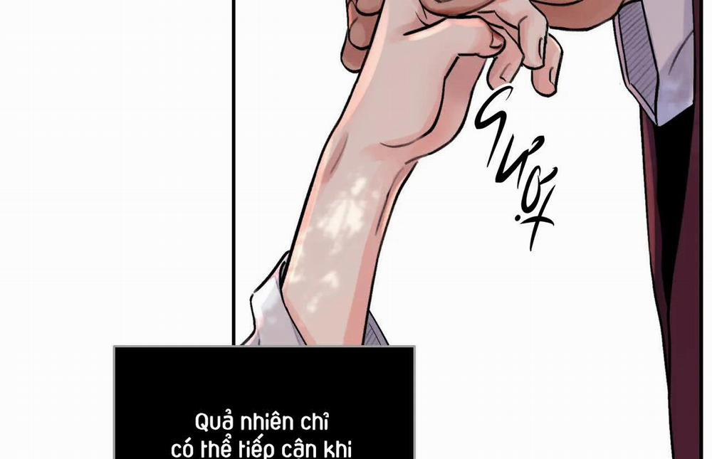 Hoa Và Gươm 6 trang 102