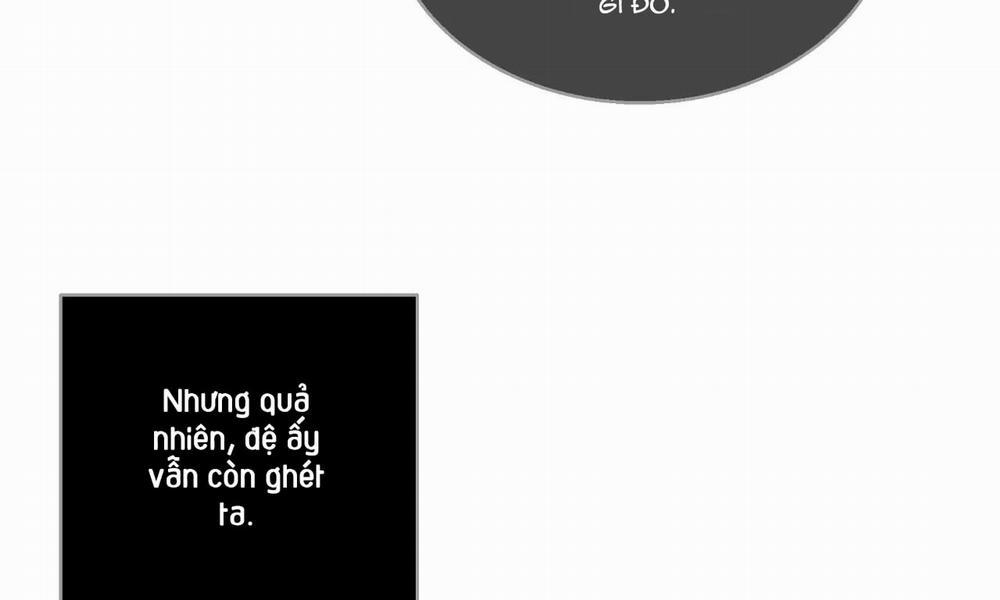 Hoa Và Gươm 7 trang 11