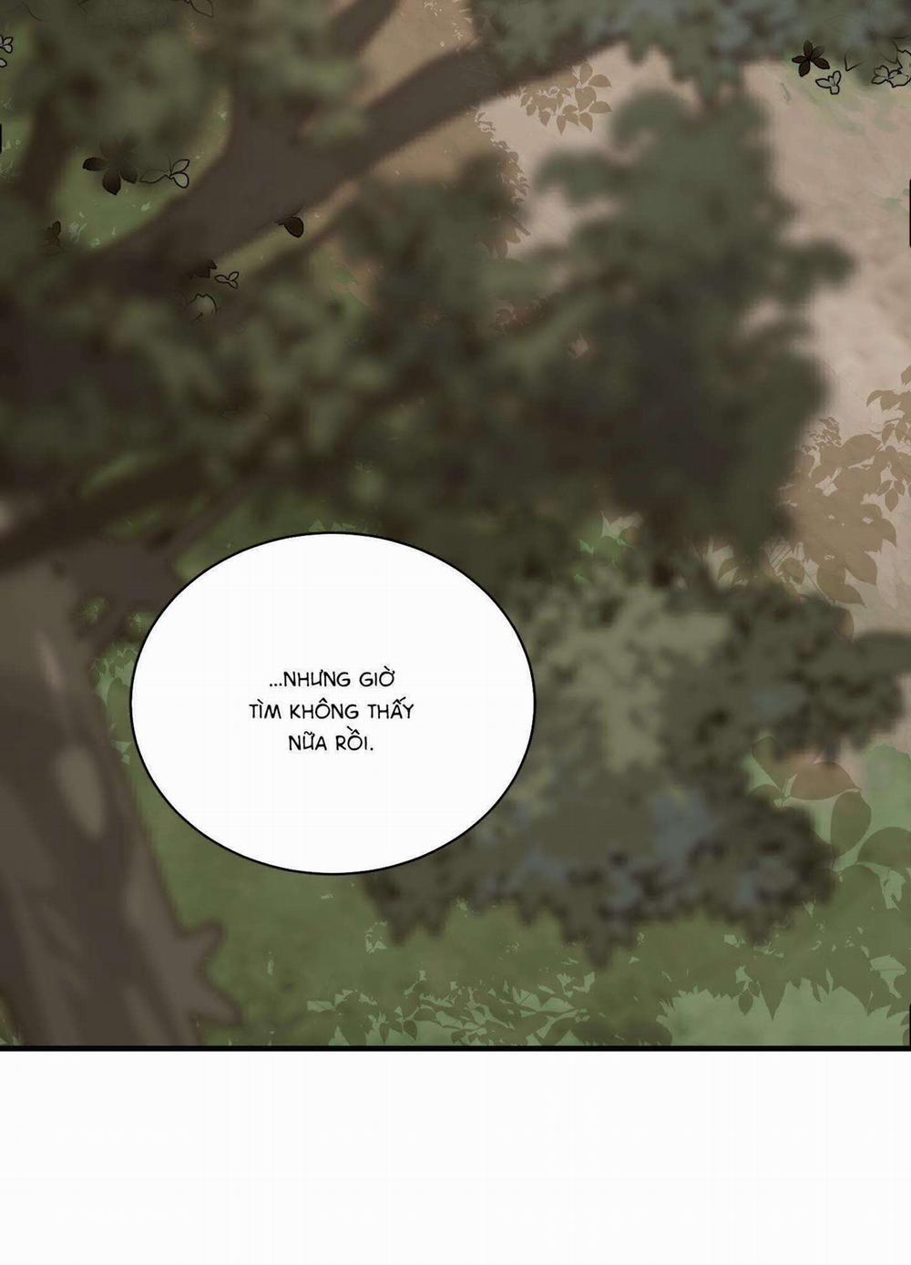 Hoa Vô Danh 10 trang 47