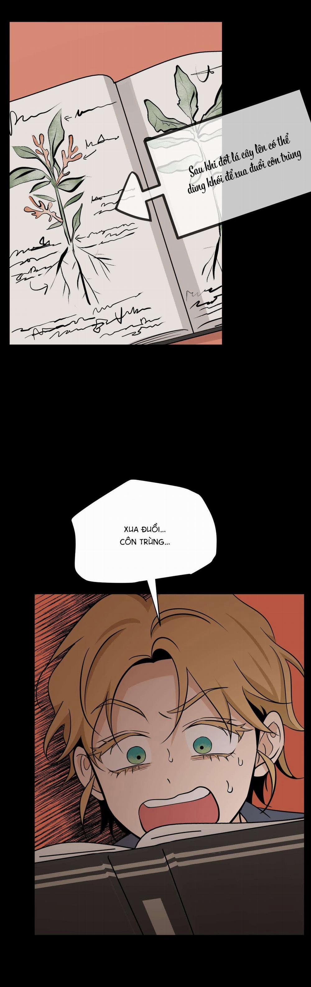 Hoa Vô Danh 2 trang 41