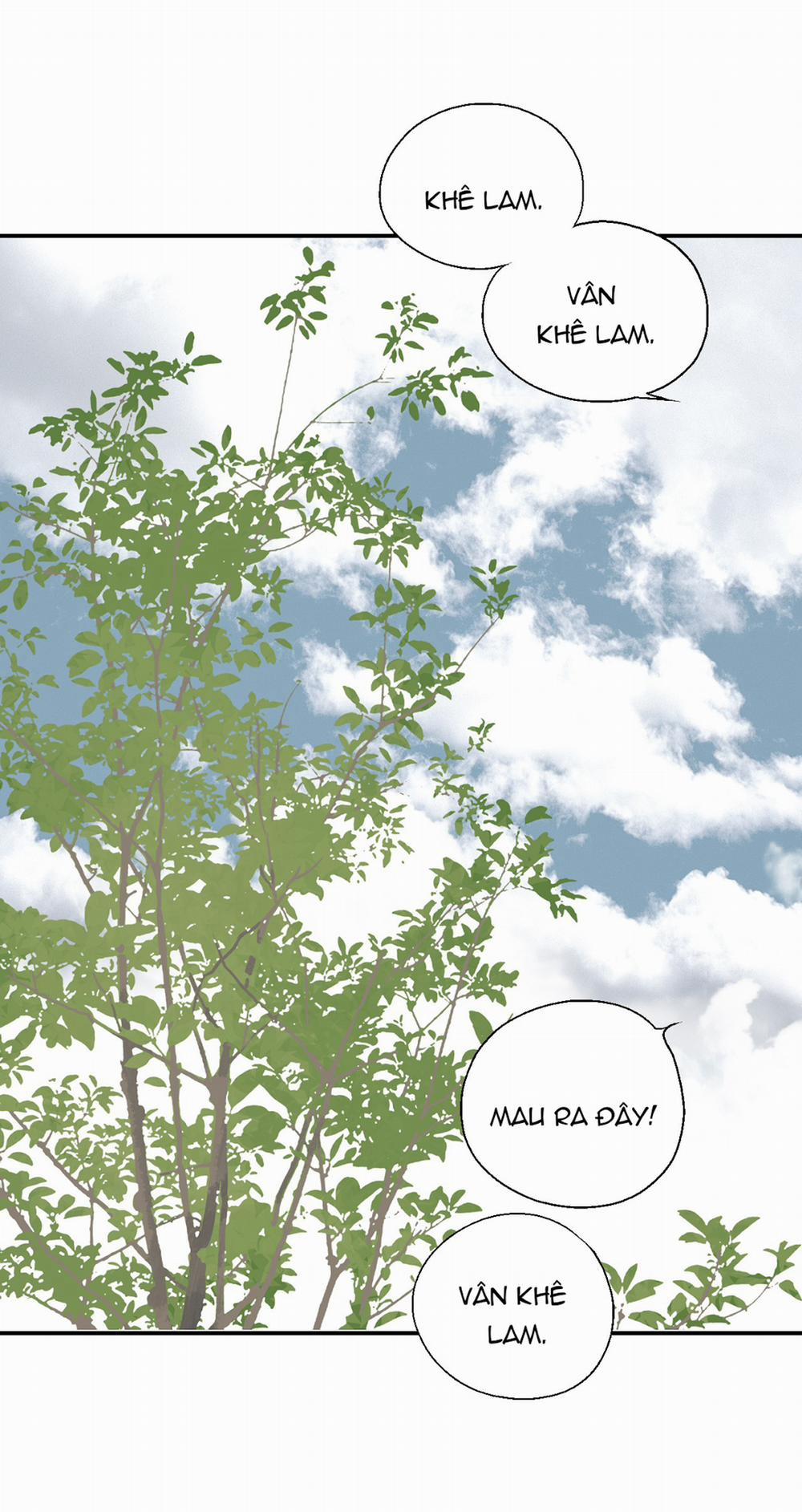 Hoa Vũ Dao 12 trang 14