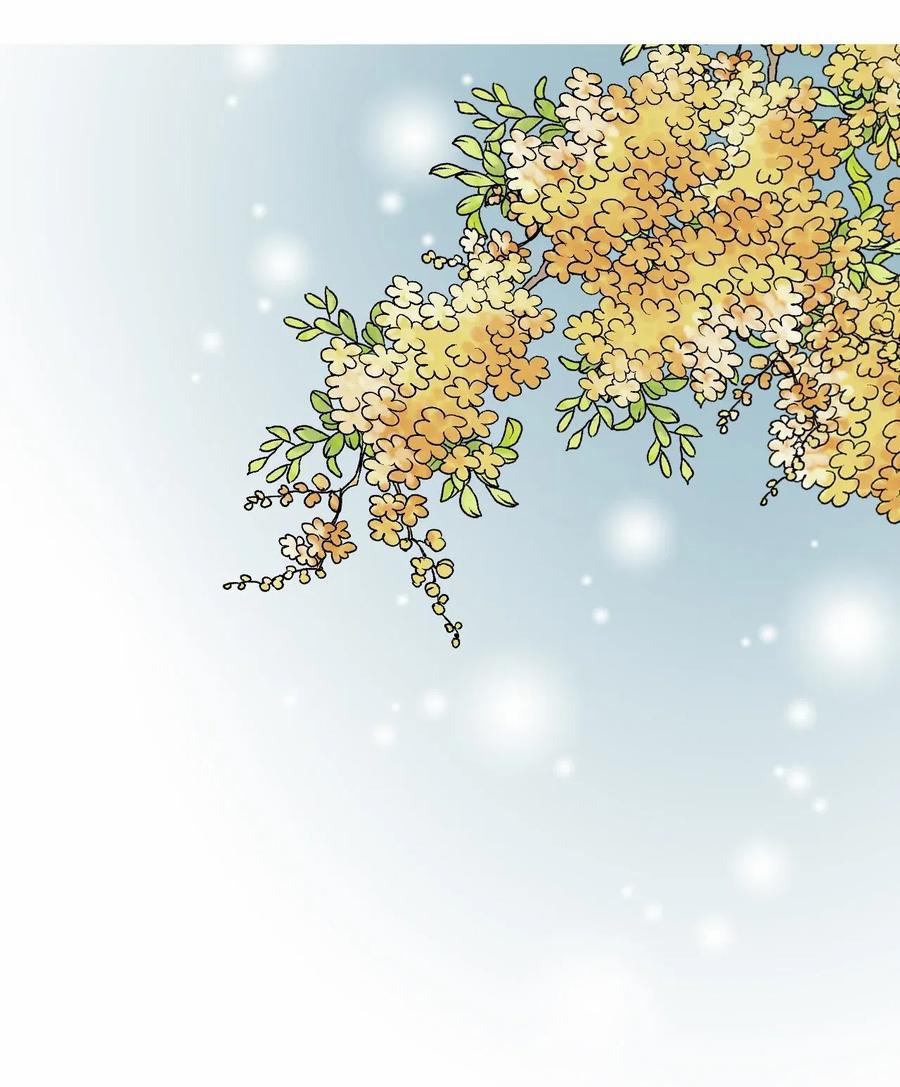 Hoa Vũ Dao 15 trang 42