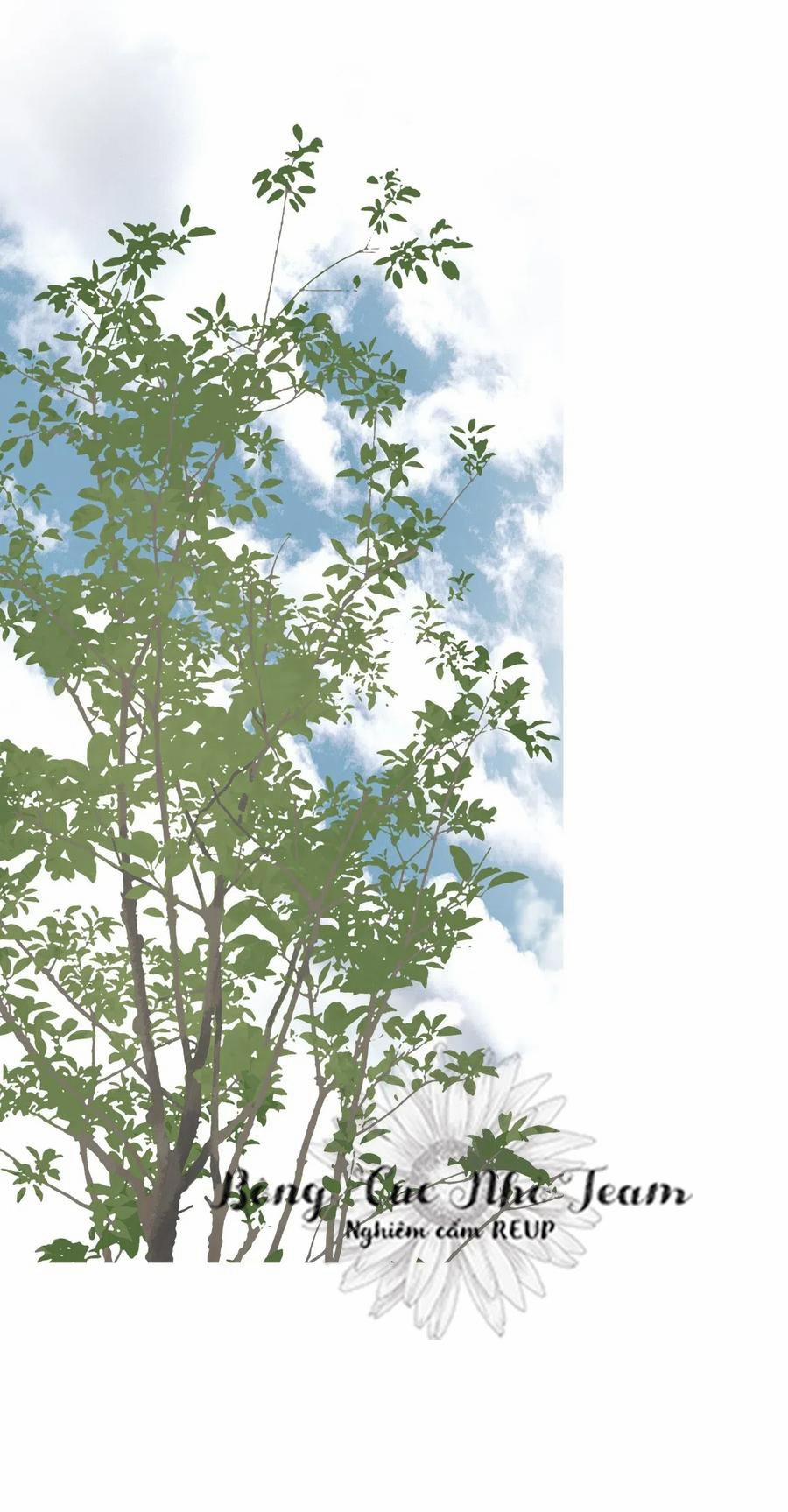 Hoa Vũ Dao 20 trang 9