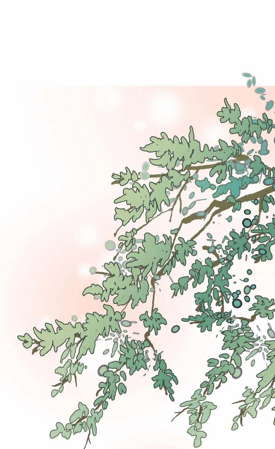 Hoa Vũ Dao 24 trang 41