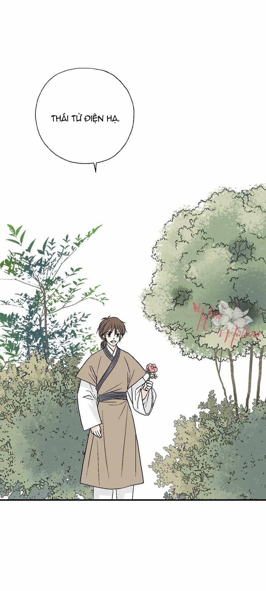Hoa Vũ Dao 25 trang 5