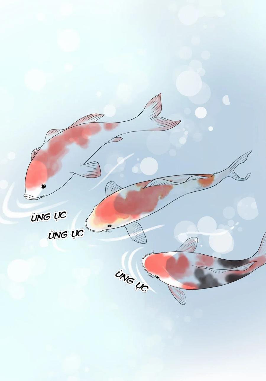 Hoa Vũ Dao 27 trang 36