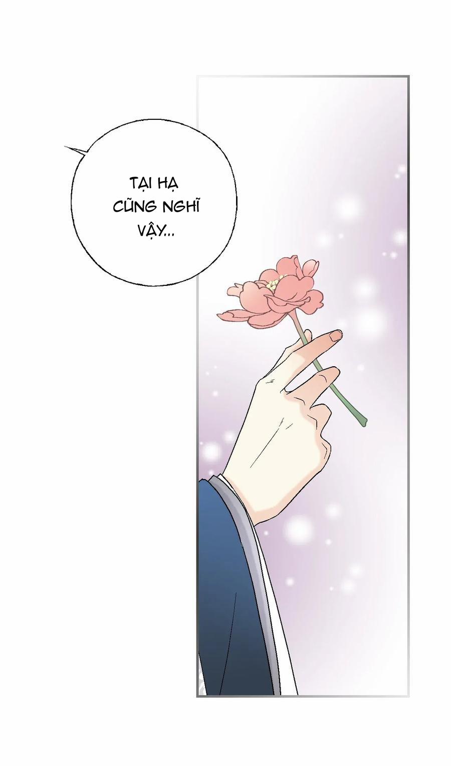 Hoa Vũ Dao 28 trang 35