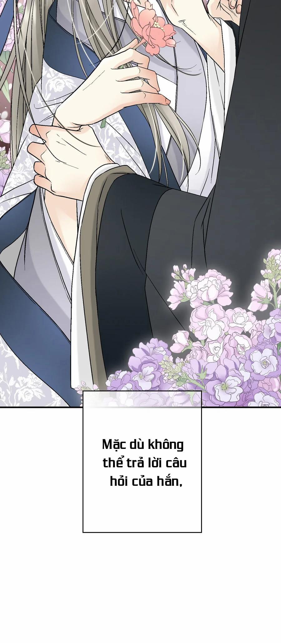 Hoa Vũ Dao 28 trang 43