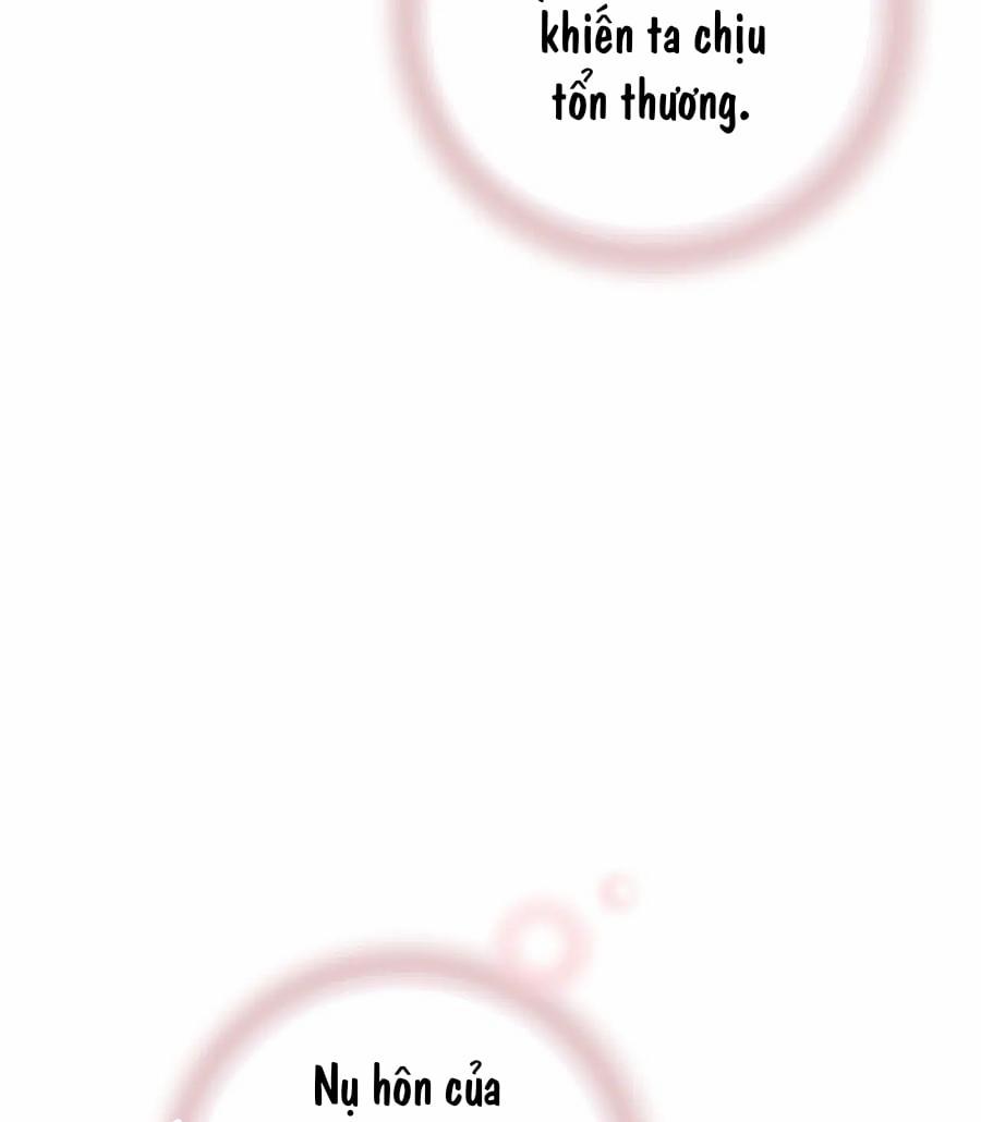 Hoa Vũ Dao 42 trang 43