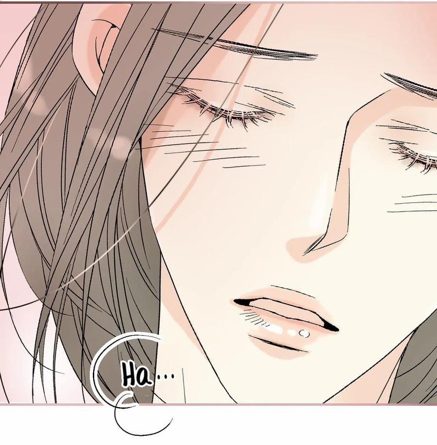 Hoa Vũ Dao 42 trang 50