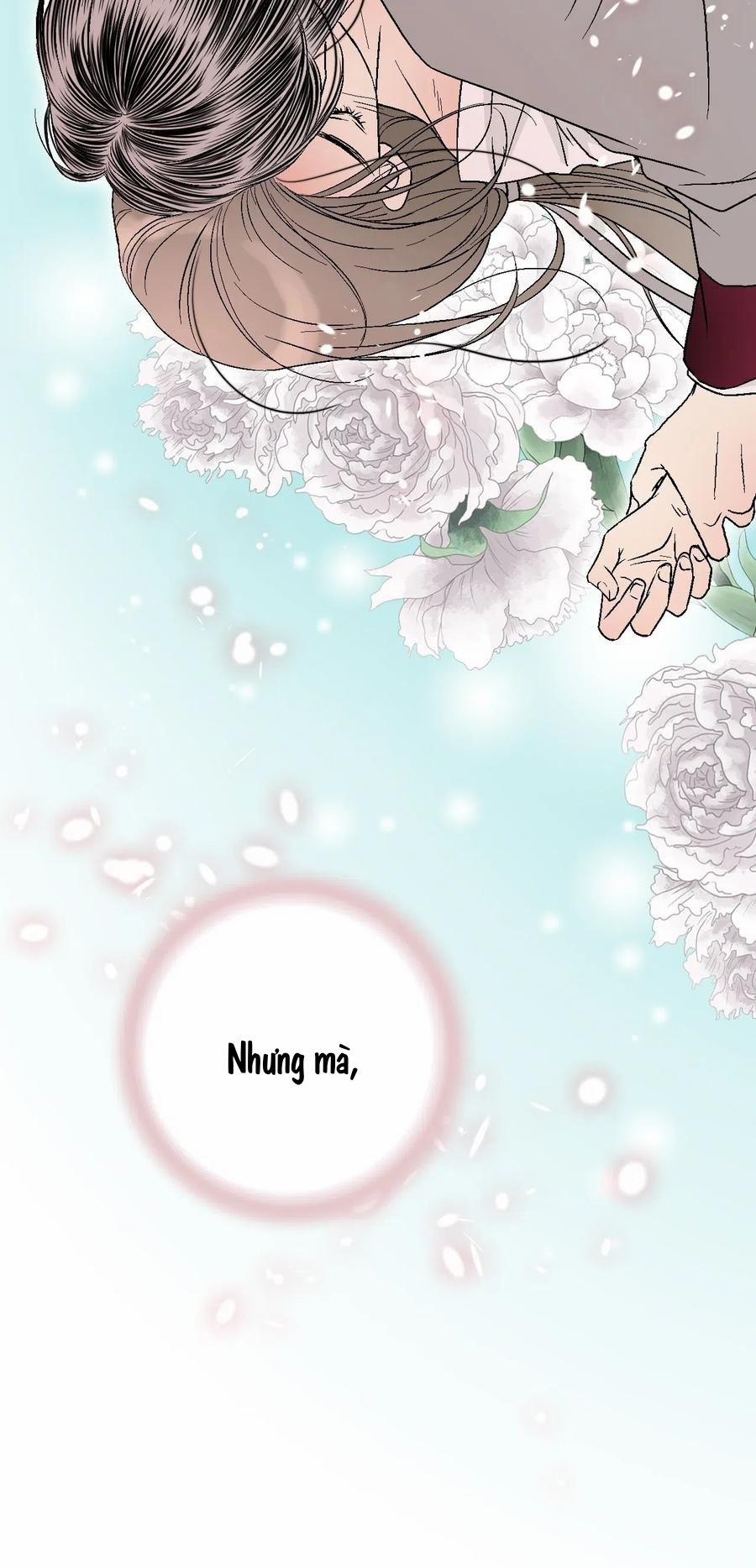 Hoa Vũ Dao 42 trang 55