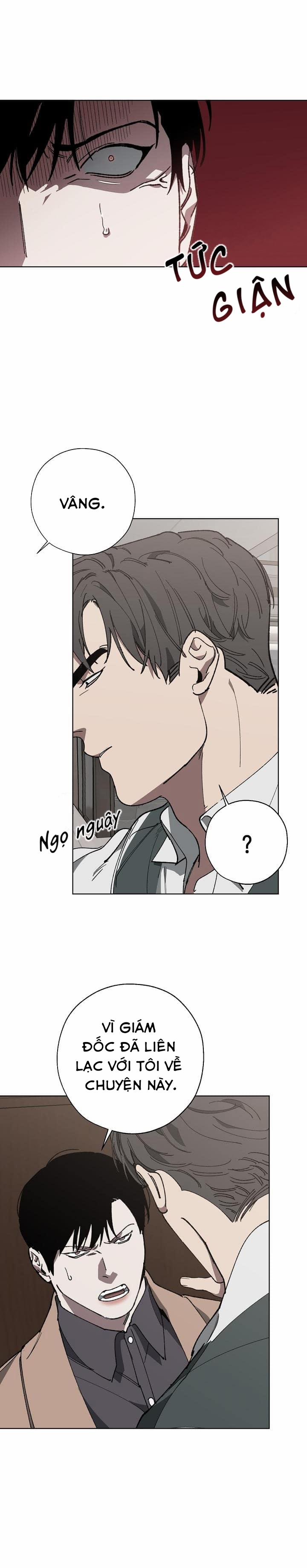 Hoán Vị 11 trang 13