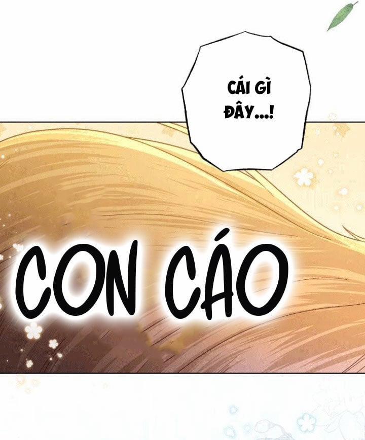 Hoàng Hậu Tái Hôn 142 trang 21