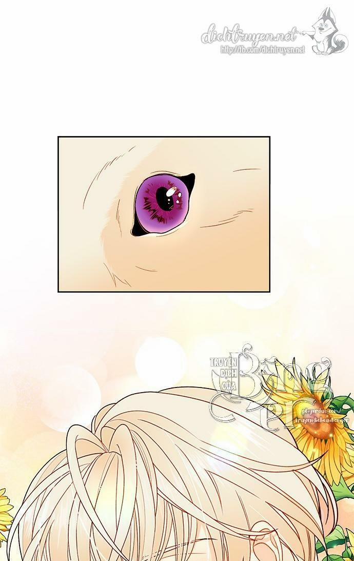 Hoàng Hậu Tái Hôn 78 trang 5