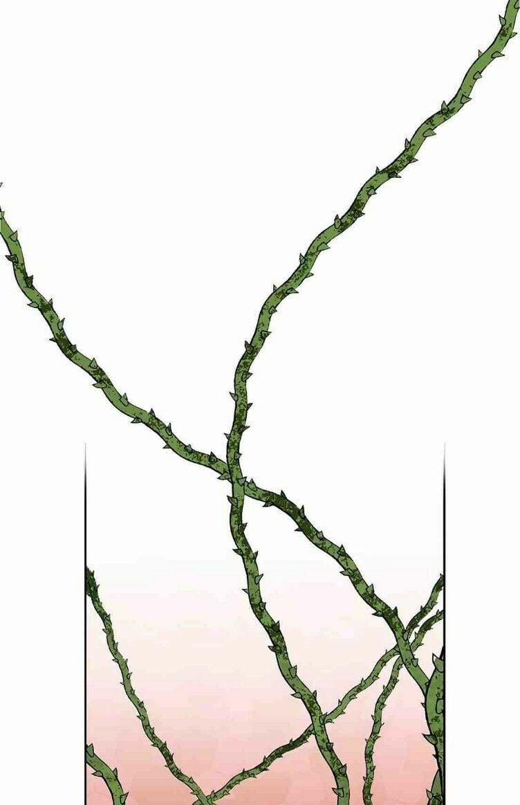 Hoàng Hậu Tái Hôn 8 trang 2