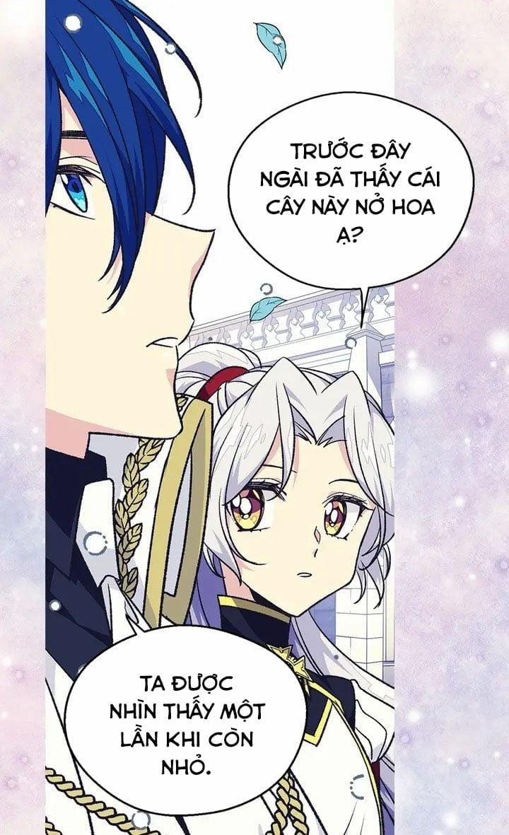 Hoàng Phi Bị Ruồng Bỏ 68 trang 34