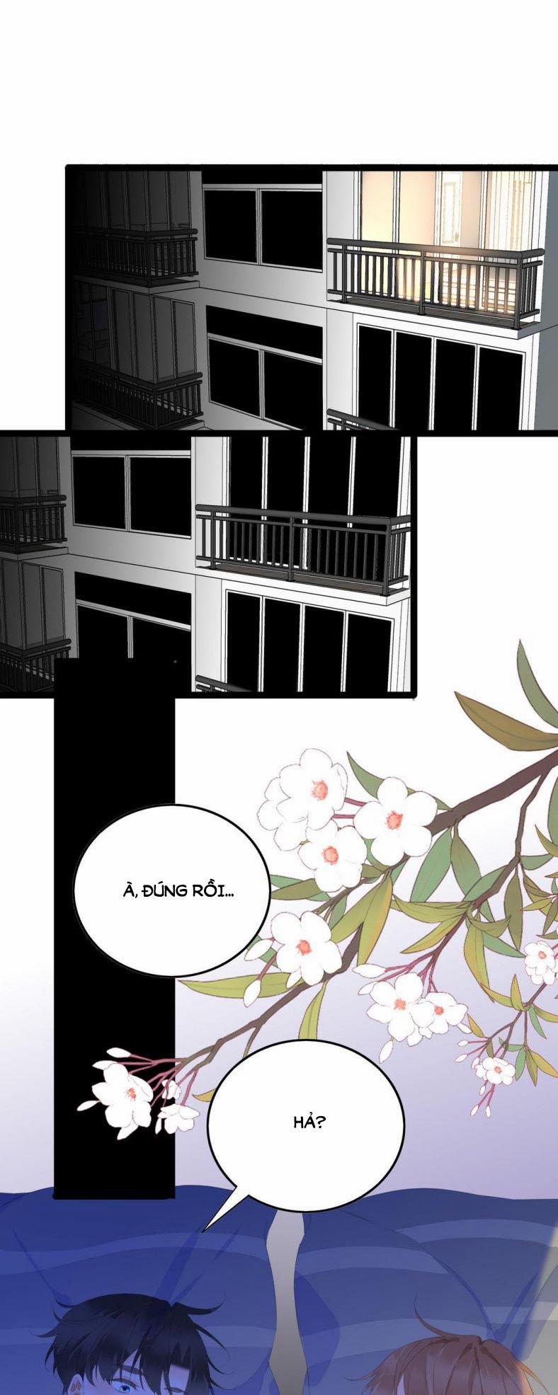 Học Bá 985 18 trang 2