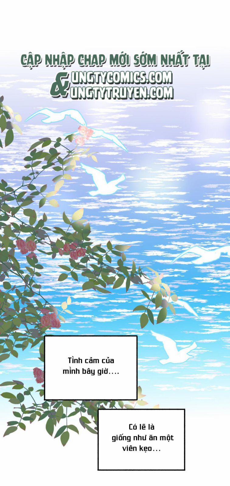 Học Bá 985 28 trang 11