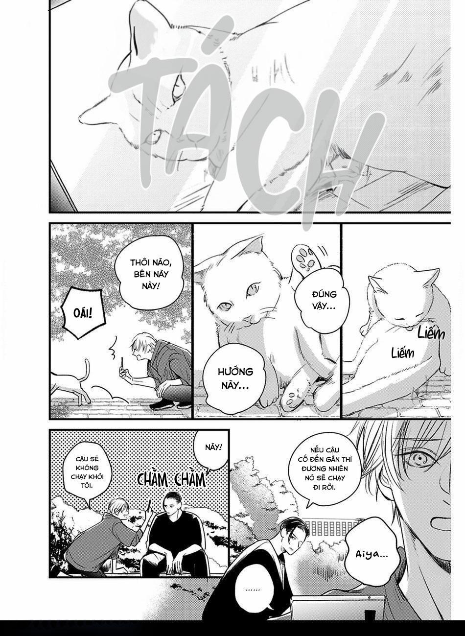 Hồi Kết Mảnh Tình Vương 5 trang 3