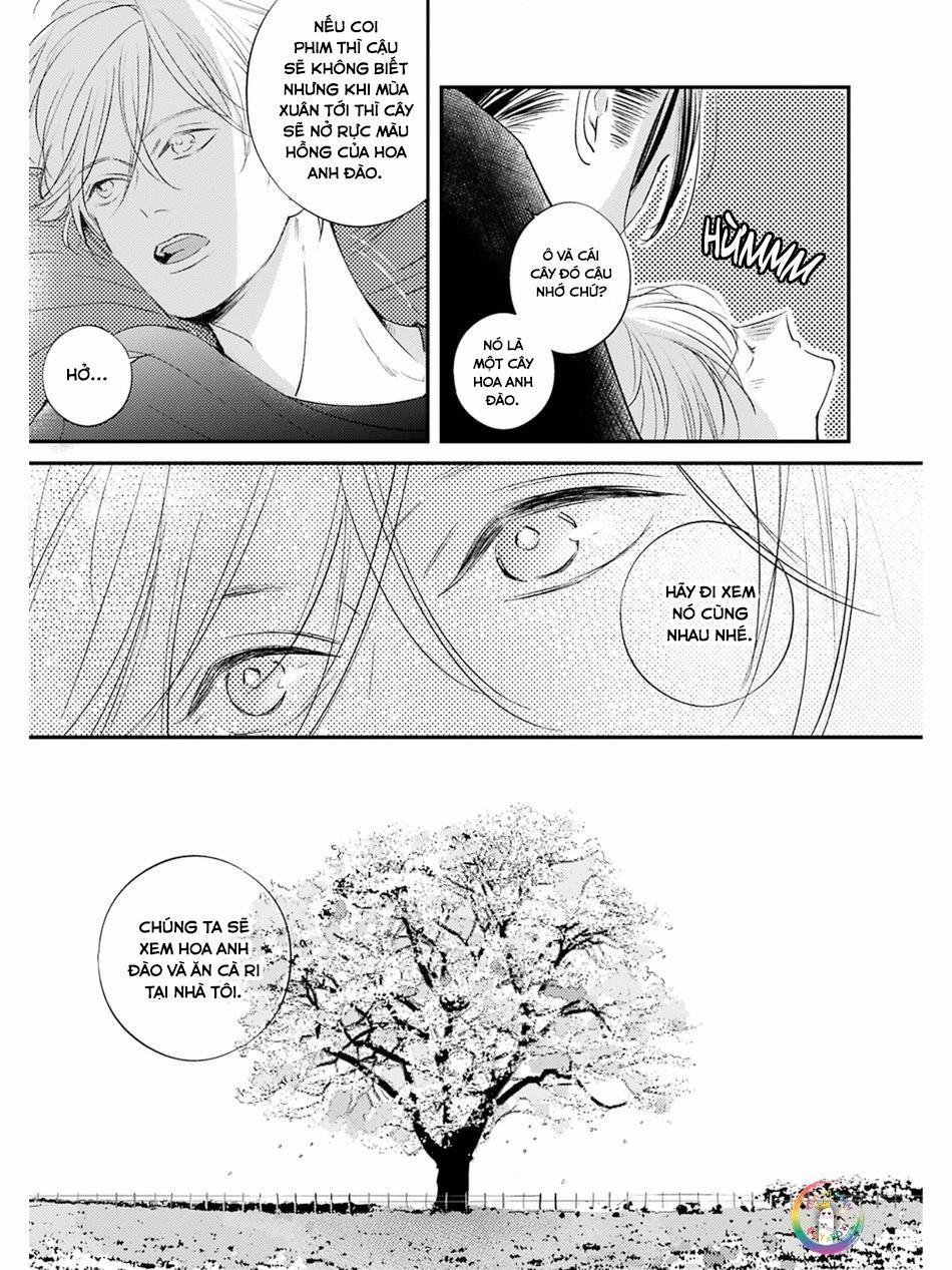 Hồi Kết Mảnh Tình Vương 6 trang 26