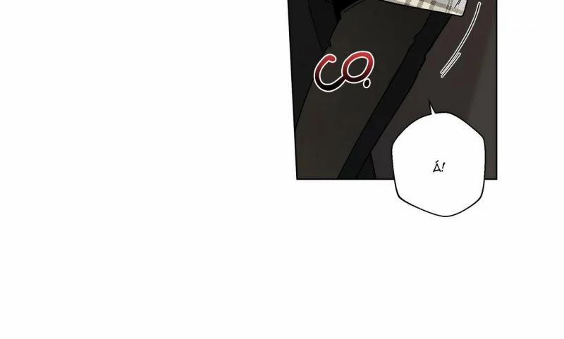 Home Five 13 trang 101