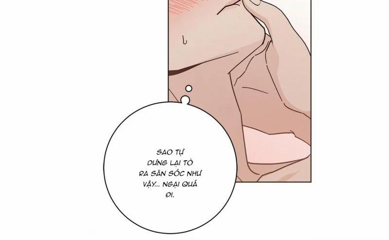 Home Five 14 trang 17