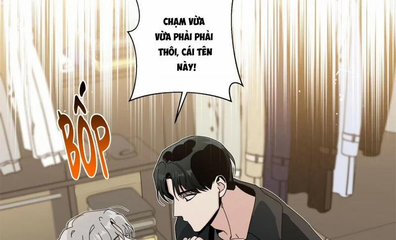 Home Five 17 trang 12