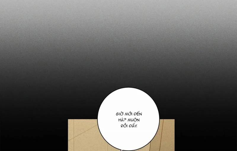 Home Five 21 trang 101