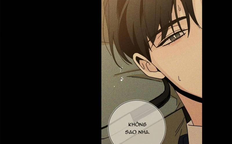 Home Five 21 trang 178