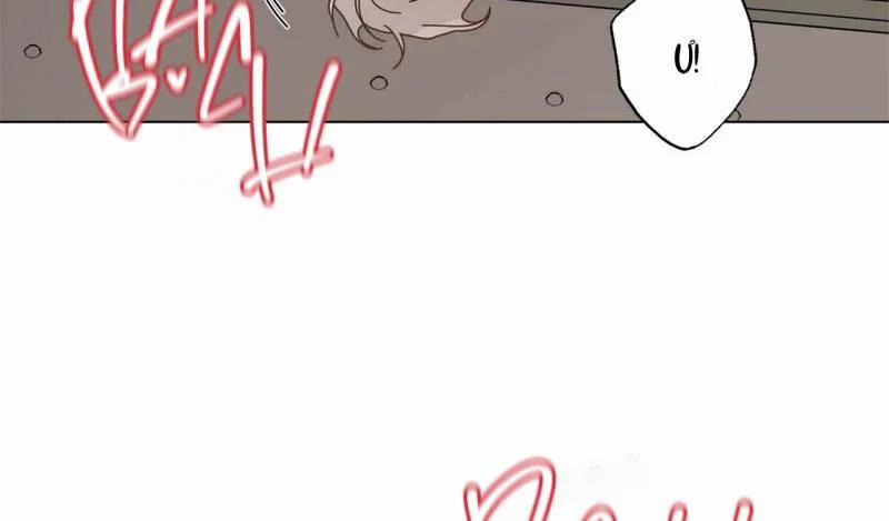 Home Five 23 trang 45