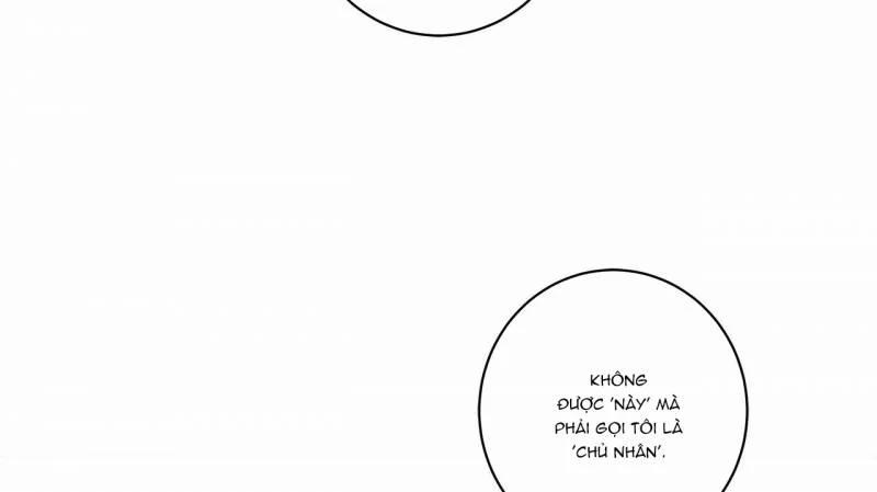 Home Five 24 trang 147