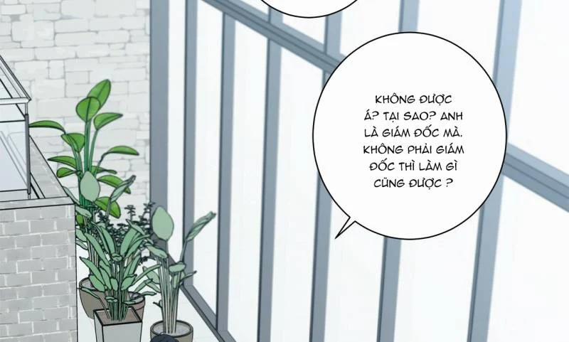 Home Five 24 trang 4