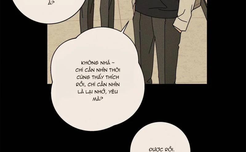 Home Five 26 trang 7