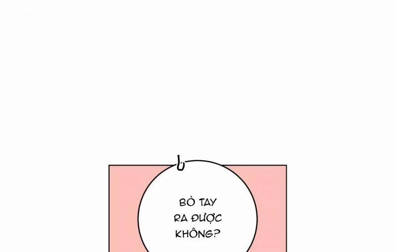 Home Five 28 trang 146