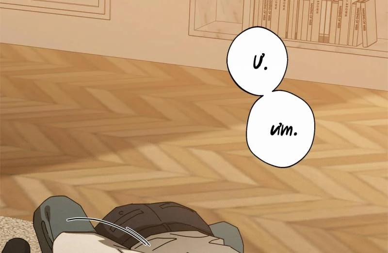 Home Five 28 trang 27