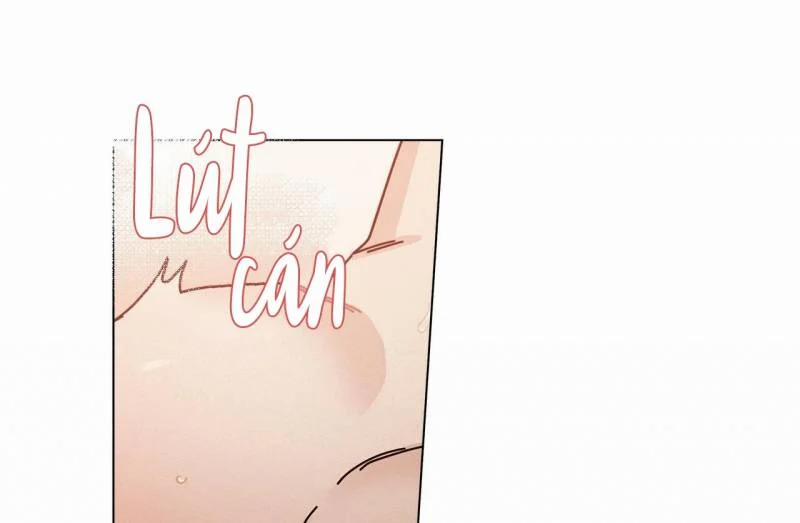 Home Five 28 trang 85