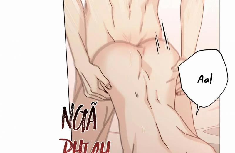 Home Five 28 trang 97