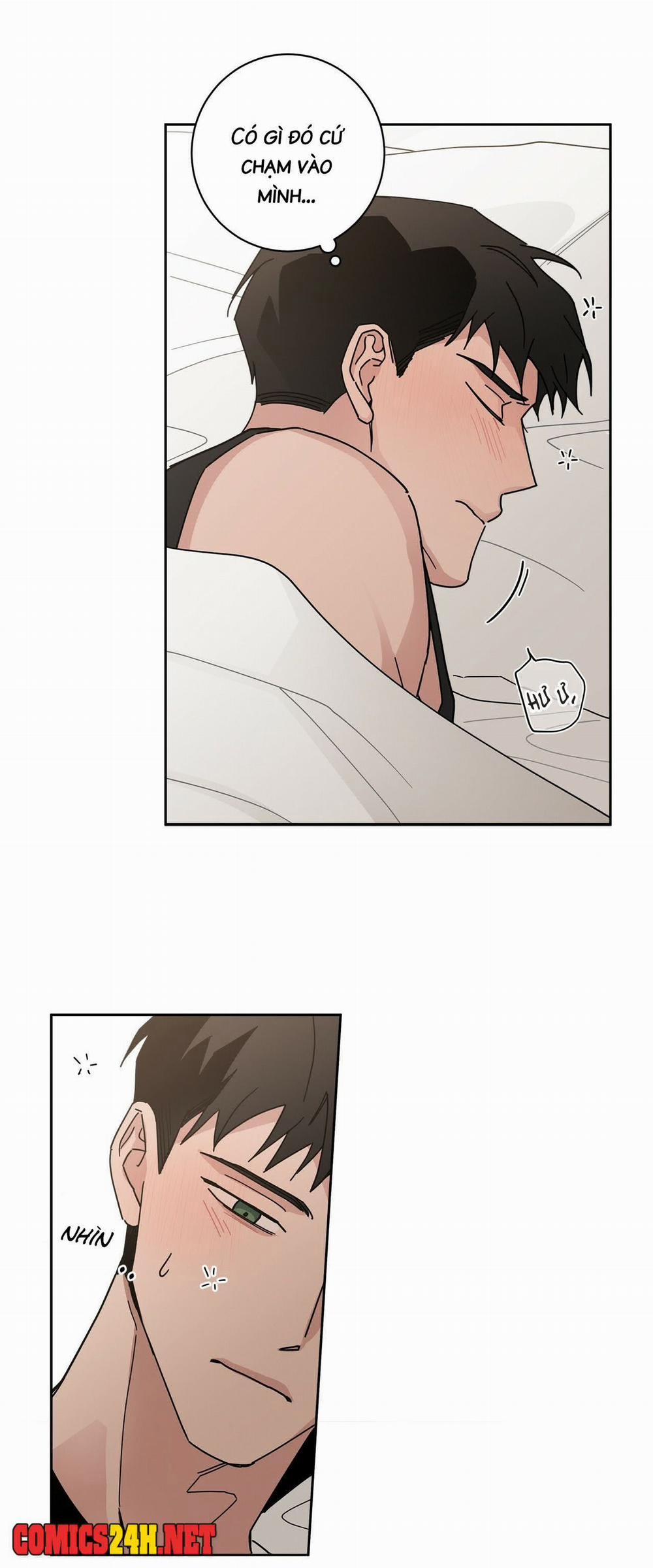 Home Five 3 trang 34