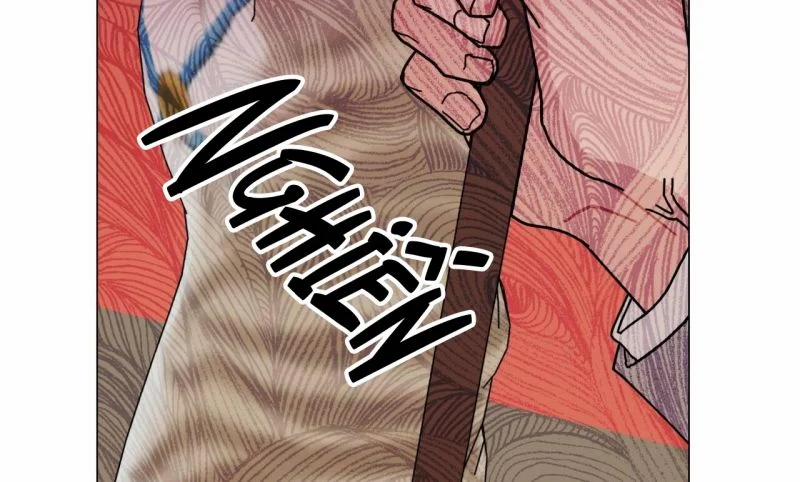 Home Five 31 trang 162