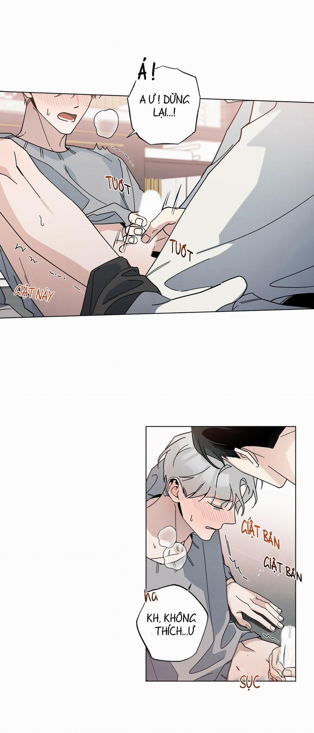 Home Five 6 trang 12