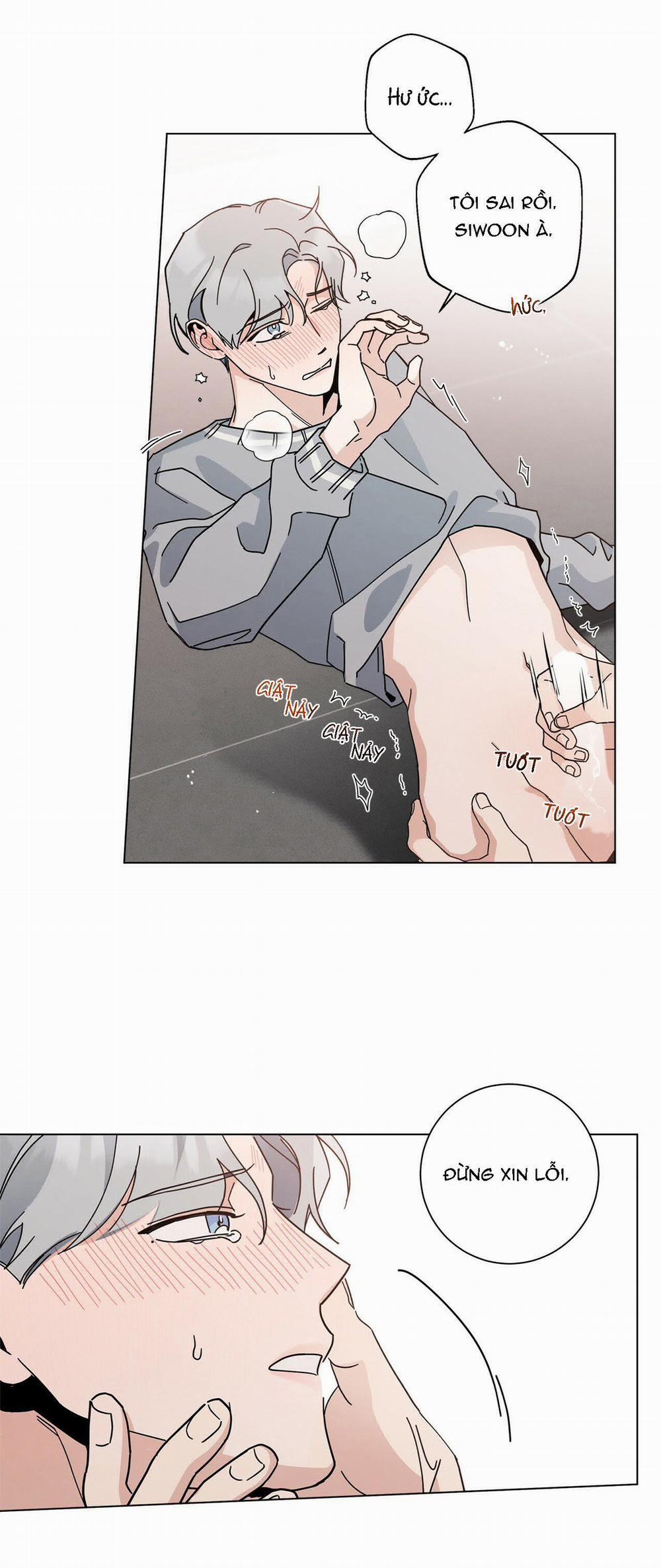 Home Five 6 trang 16