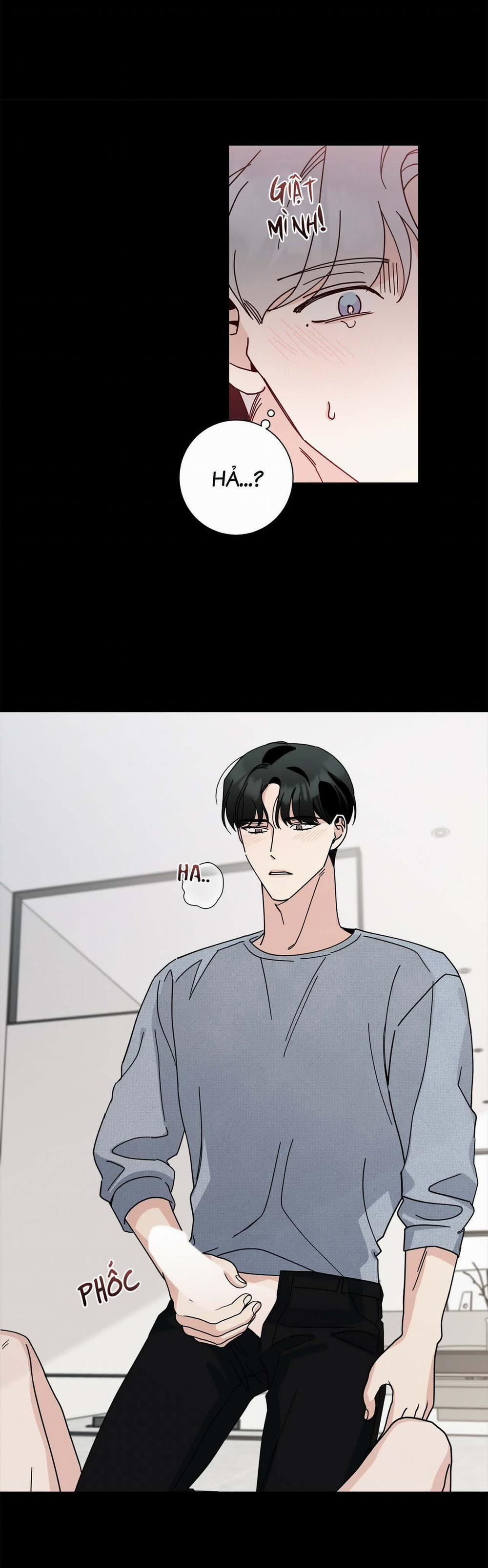 Home Five 8 trang 51