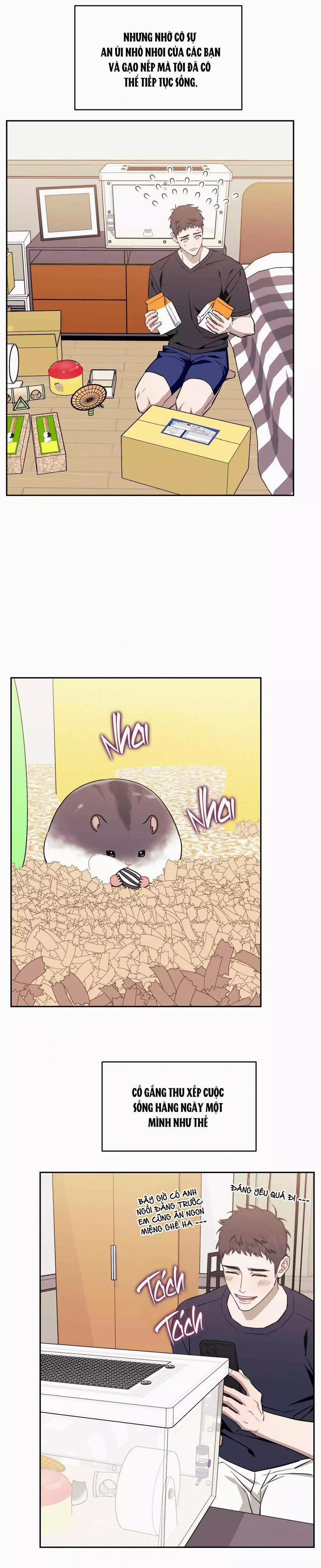 Hơn Cả Bạn Bè 101 trang 14