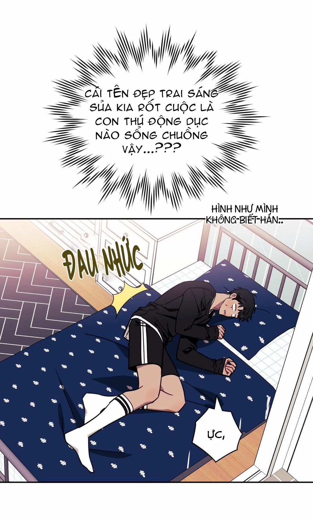 Hơn Cả Bạn Bè 12 trang 52