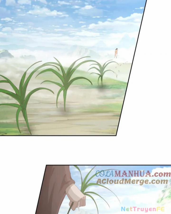 Hỗn Độn Đan Thần 388 trang 13