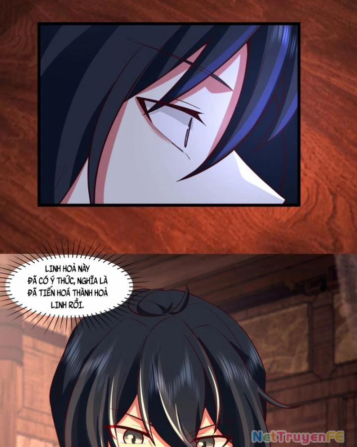 Hỗn Độn Đan Thần 447 trang 12
