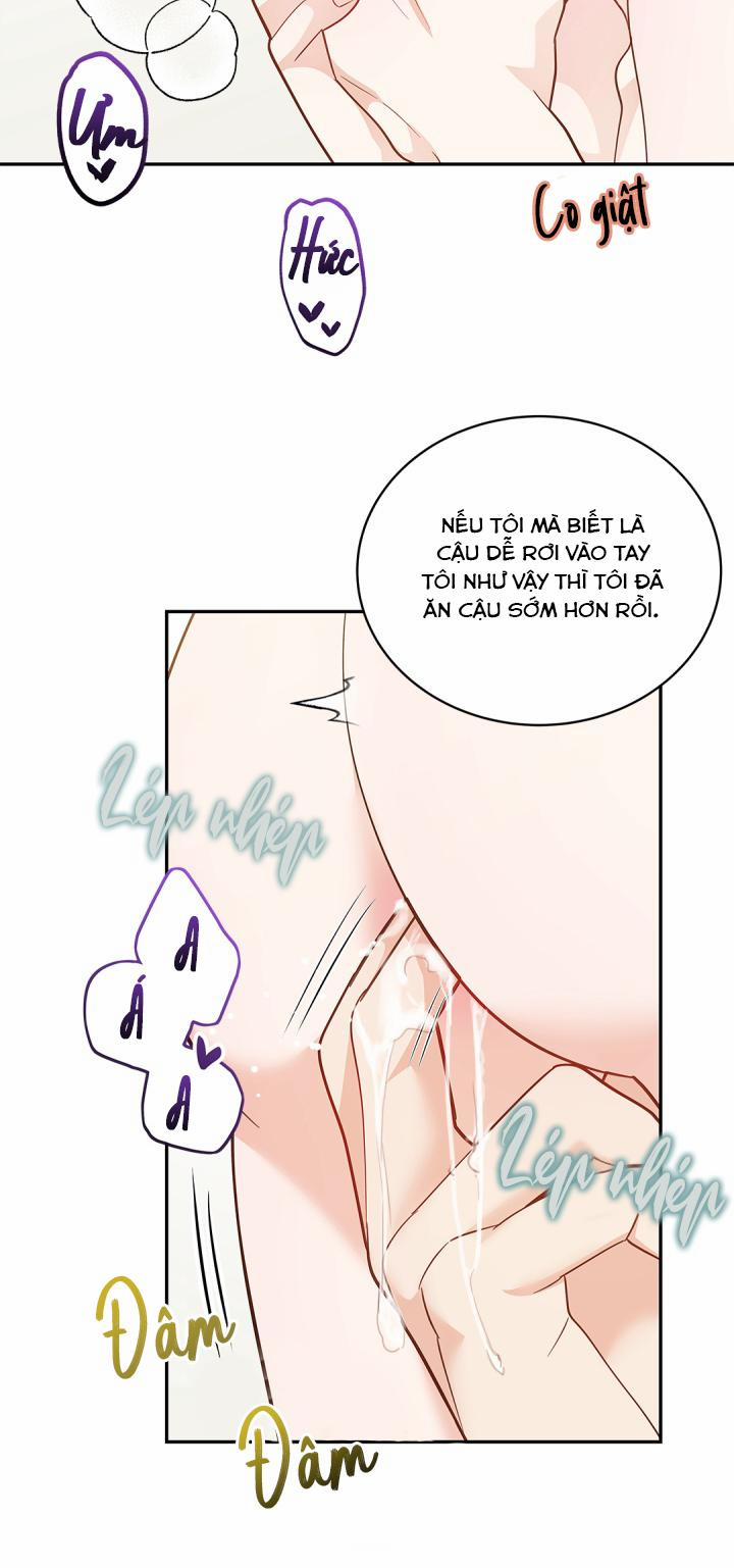 Hôn Nhân Bị Đánh Cắp Của Hồ Ly 17 trang 28