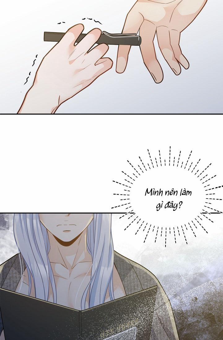 Hôn Nhân Bị Đánh Cắp Của Hồ Ly 19 trang 11