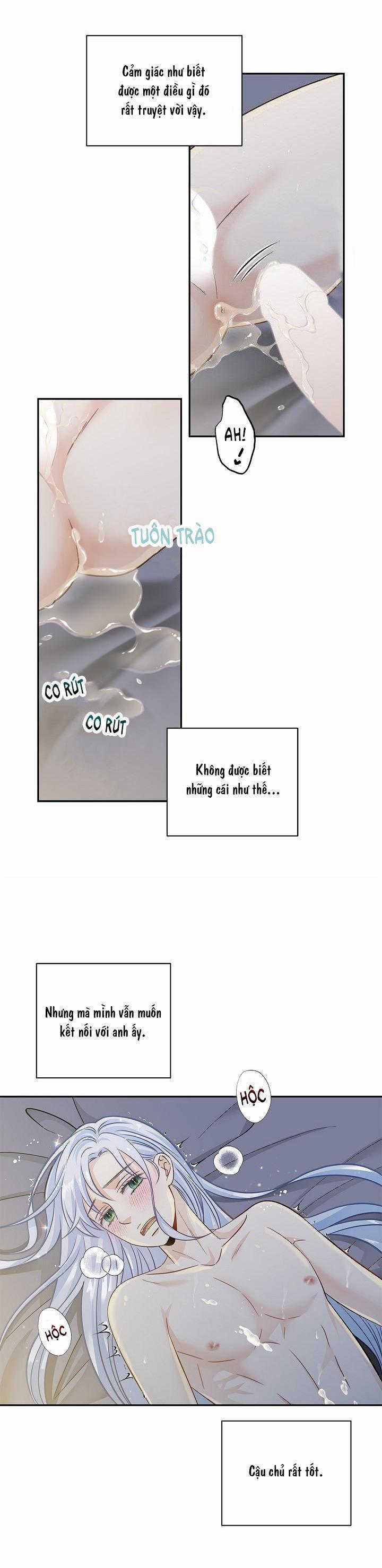 Hôn Nhân Bị Đánh Cắp Của Hồ Ly 9 trang 18